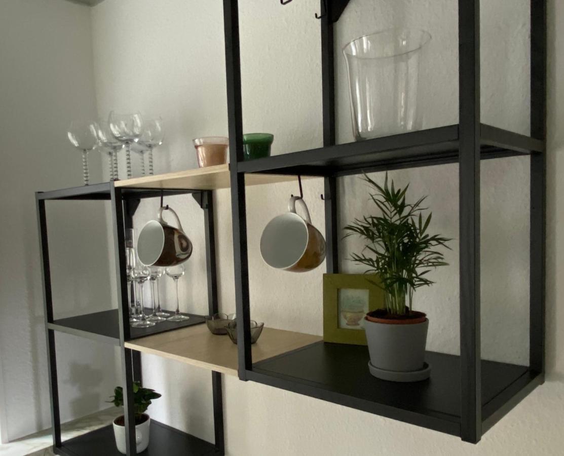 Ferienwohnung Hohensee Eg 클라우슈탈젤러펠트 외부 사진